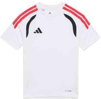 Adidas T-shirt Korte Mouw KR0369