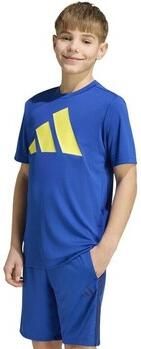 Adidas T-shirt Korte Mouw KR4262000ROYBLUPURL