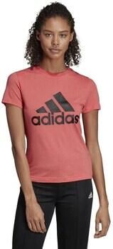 Adidas T-shirt Korte Mouw Must Haves Badge OF Sport