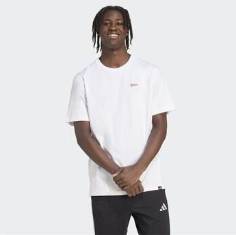 Adidas T-shirt Korte Mouw Pennant