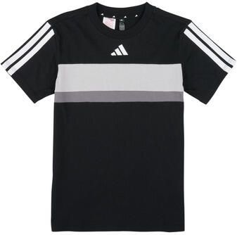 Adidas T-shirt Korte Mouw Seasonal Essentials Tiberio 3-Stripes T-Shirt Kids - Foto 9