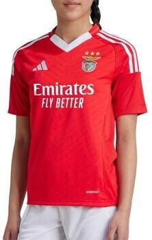 Adidas T-shirt Korte Mouw SL Benfica Domicile 24 25 - Foto 2