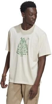 Adidas T-shirt Korte Mouw Stan Smith Tee