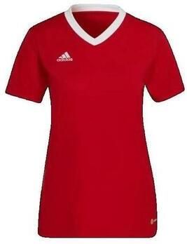 Adidas T-shirt Korte Mouw T-shirt Entrada 22 rouge - Foto 3