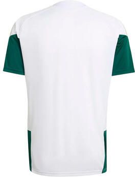 Adidas T-shirt Korte Mouw T-shirt Tiro manches courtes blanc - Foto 2