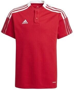 Adidas T-shirt Korte Mouw Tiro 21 Polo