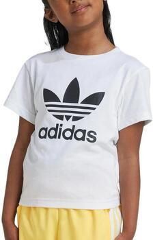 Adidas Originals T-shirt TREFOIL TEE