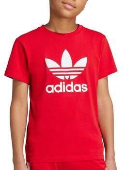 Adidas Originals T-shirt TREFOIL TEE