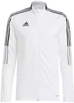 Adidas T-Shirt Lange Mouw T-shirt manches longues Team Base