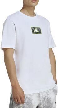 Adidas Sportswear T-shirt M CAMO BOX T - Foto 7