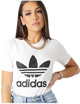 Adidas T-shirt Korte Mouw Adicolor Classics Trefoil Tee - Foto 4