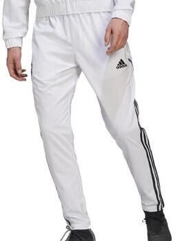Adidas Performance Real Madrid Condivo 22 Presentation Broek - Foto 2