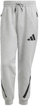 Adidas Trainingsbroek Pantalon de survêtement Z.N.E. gris