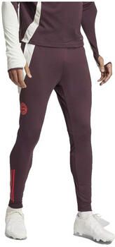 Adidas FC Bayern Munich Training Track Pants Shadow Maroon Red- Heren Shadow Maroon Red - Foto 3