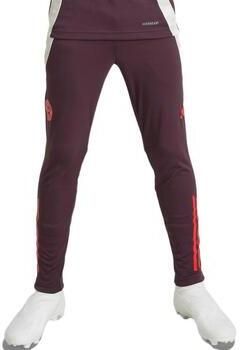 Adidas FC Bayern München Tiro 24 Training Broek Kids