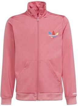 Adidas Trainingsjack H32373