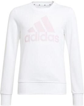 Adidas Trainingsjack HE1982