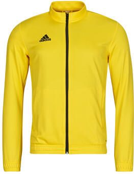 Adidas Trainingsjack HI2134