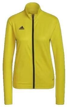 Adidas Trainingsjack Veste de survêtement Entrada 22 jaune