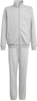 Adidas Trainingspak All Szn Graphic