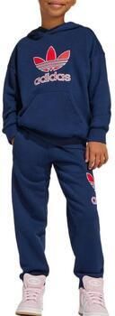Adidas Big Logo Hoodie Set Kids Blauw Kind Blauw