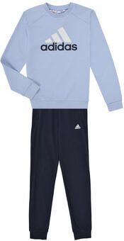 Adidas Trainingspak Essentials Big Logo French Terry Joggers Set