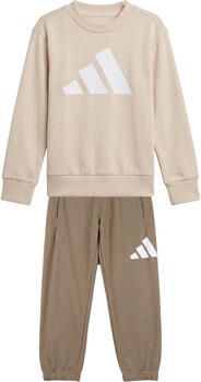 Adidas Trainingspak Essentials Joggers Set Kids