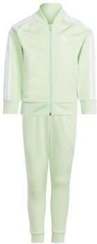 Adidas Adicolor SST Trainingspak