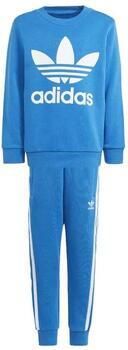 Adidas Originals Trefoil Crew Tracksuit Children Blue Bird Blue Bird