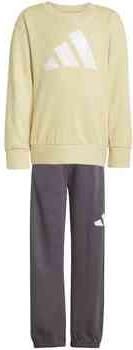 Adidas Trainingspak JE1384