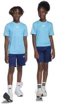 Adidas Train Essentials 3-Stripes T-shirt Set Kids
