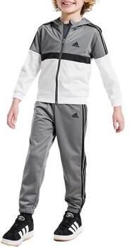 Adidas Badge of Sport Poly Full Zip Tracksuit Children White