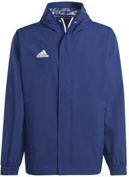Adidas Performance Entrada 22 All-Weather Jack - Foto 2