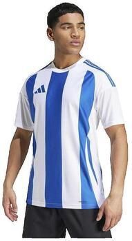 Adidas Zwembroek Striped 24 Player