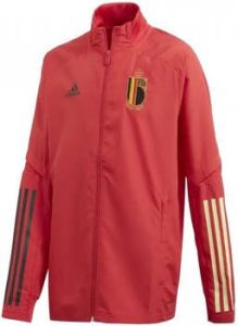 Adidas Blazer Rbfa Pre Jkt Y