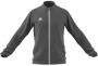 Adidas Entrada 22 Trainingsjack Grijs- Heren Grijs - Thumbnail 1
