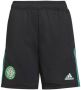 Adidas Performance Celtic FC Tiro Training Short - Thumbnail 1