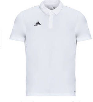 Adidas Polo Shirt Korte Mouw ENT22 POLO