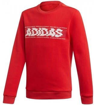 Adidas Sweater Yb Sid Br Crew2