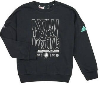 Adidas Sportswear Loose Fit ARKD3 Sweatshirt