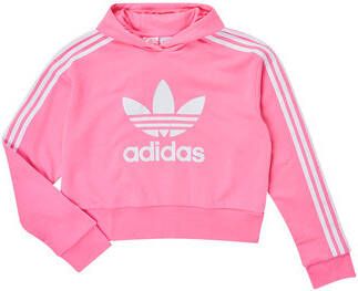 Adidas Originals Sweatshirt ADICOLOR CROPPED HOODIE
