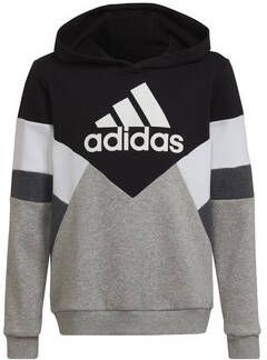 Adidas Sportswear Sweatshirt COLORBLOCK FLEECE HOODIE