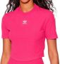 Adidas Originals T shirt ADICOLOR ESSENTIALS RIB CROPPED - Thumbnail 3