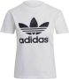 Adidas T-shirt Korte Mouw Adicolor Classics Trefoil Tee - Thumbnail 1
