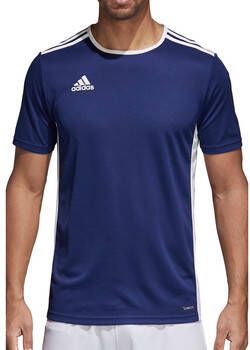 Adidas Training T-shirt Blauw Ronde Hals Blauw Heren