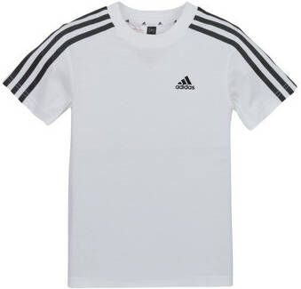 Adidas Sportswear T-shirt LK 3S CO TEE