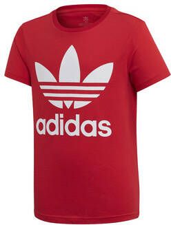 Adidas T-shirt Korte Mouw TREFOIL TEE