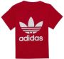 Adidas T-shirt Korte Mouw TREFOIL TEE - Thumbnail 1