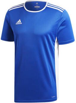 Adidas T-Shirt Entry 18 Azul Blauw Voetbalshirt