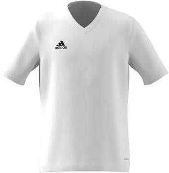 Adidas T-shirt T-Shirt Ent22 Jsy Y Bianco
